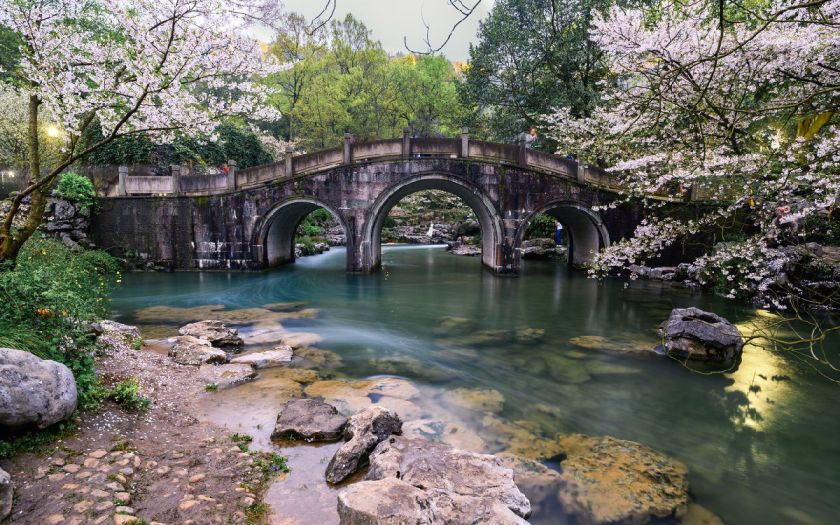 杭州旅游 游在杭州 杭州旅游景点 > 杭州太子湾公园樱花现场实拍图片