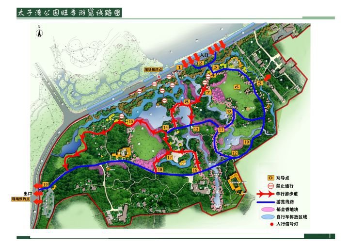 杭州太子湾公园怎么游玩?