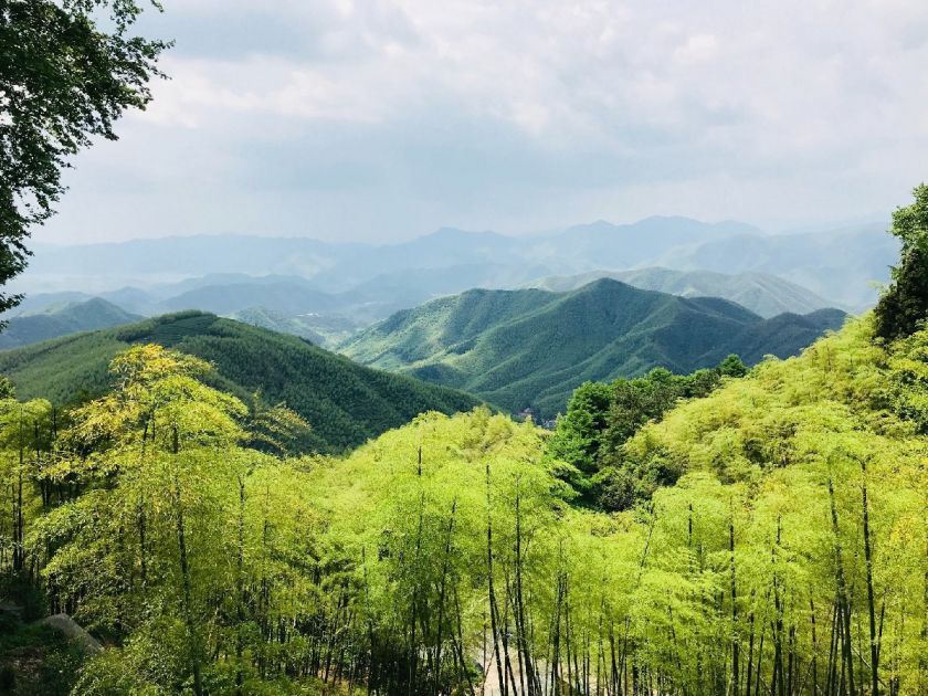 即送饮品 烤全羊优惠价 景区门票优惠购买,邀你住竹海看云海!