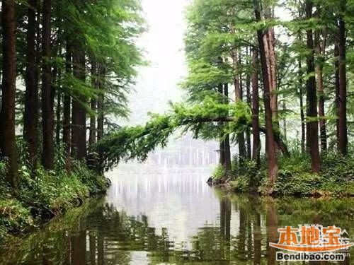 重庆最全公园地图  多种耍法任君选择