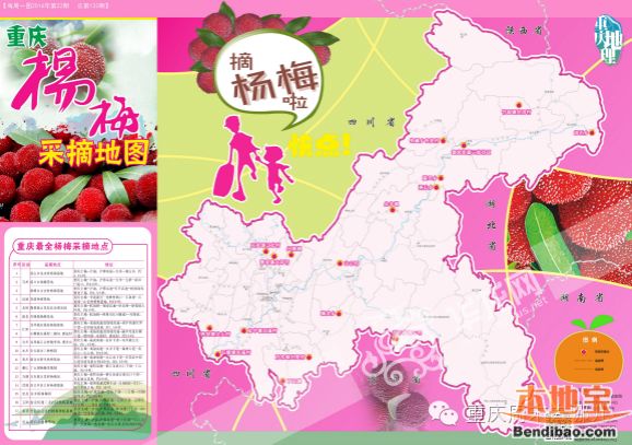 重庆杨梅采摘基地盘点 重庆各区县18处主要