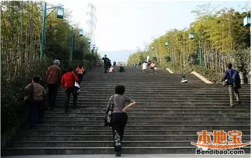 重庆主城最有特色登山步道 周末去登山眺望山城景色