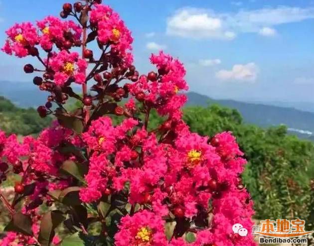 重庆周边适合情侣一日游的地方?去看周边漫山