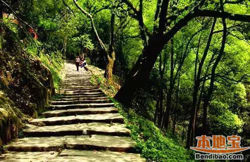 去重庆这些登山步道走走,每一条都有别样风景 黄葛古道,是重庆市