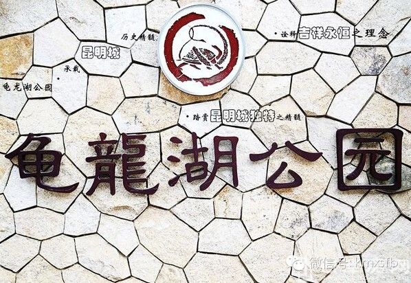 龟龙湖公园是昆明北市区面积最大的开放性公园,公园内有龟龙湖,林荫