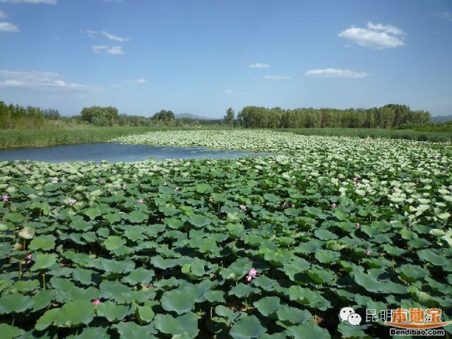 晋宁东大河湿地公园