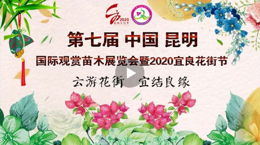 2020宜良花街节开幕式直播时间