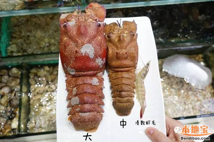 海鲜火锅一般加什么_三层海鲜蒸柜_海鲜一般蒸多久(2)
