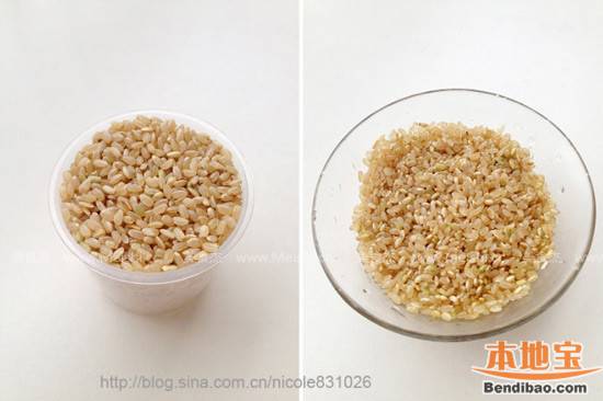 活性糙米饭如何做才更美味 - 深圳本地宝