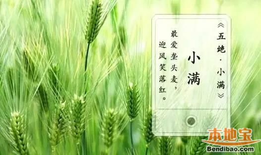 点击查看源网页 原创【蝶恋花】小满 - 竹林清影 - 竹心斎