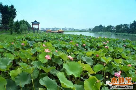 南京高淳暑假旅游攻略