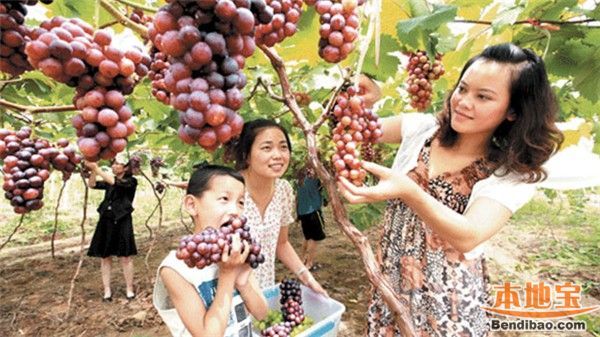 南京中秋节去哪玩？9月趣味采摘游