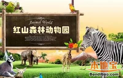 南京红山森林动物园科普日免费游园活动(附领票攻略)