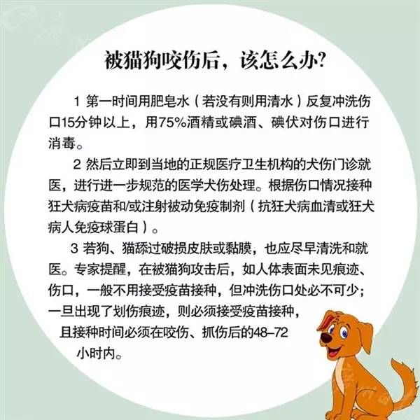 南京狂犬疫苗点 各区门诊部门一览表- 南京本地