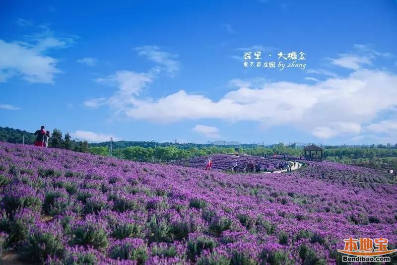 南京适合情侣去的18个地方盘点 520约会必看