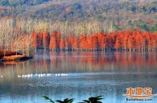 南京竹镇景点盘点(桃花岛,巴布洛生态谷.