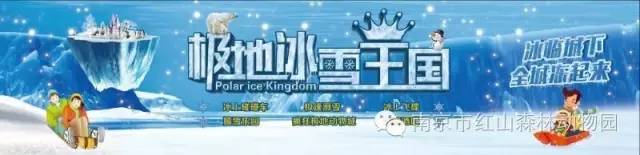 南京红山动物园冰雕展来袭 暑假亲子游避暑胜