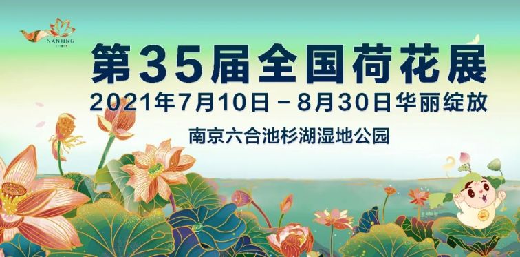 第35届全国荷花展2021年7月落户南京池杉湖湿地公园