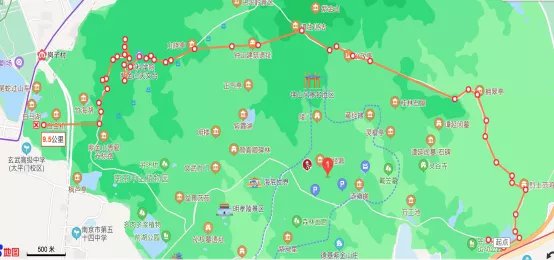 2020南京大美钟山健步走活动指南(时间 地点 路线)