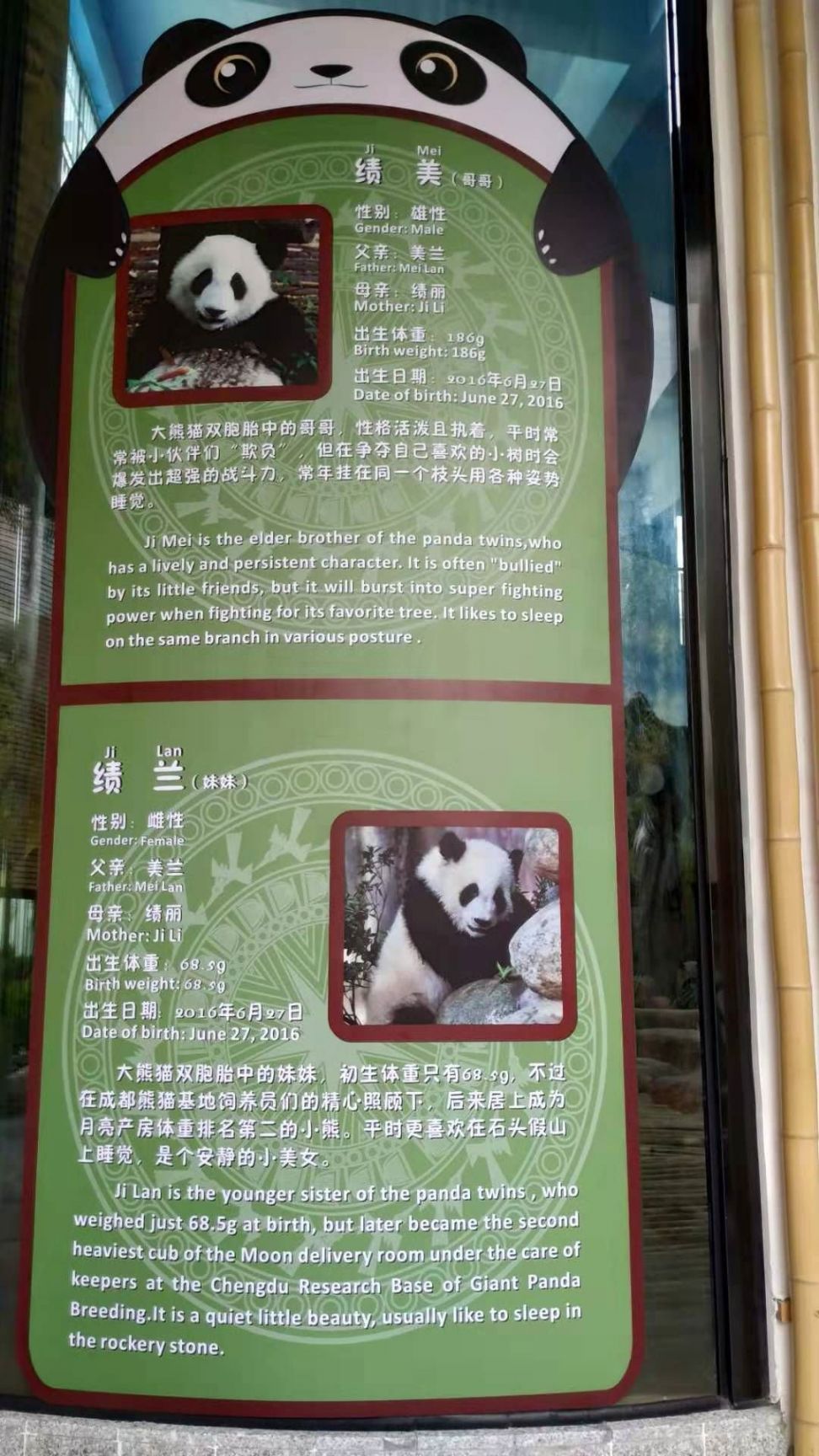 南宁动物园熊猫叫什么名字