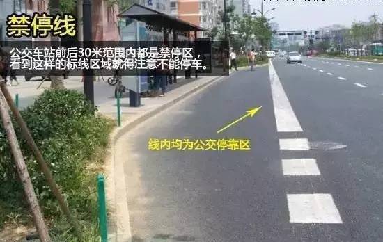 哪些交通标线不能压?小心罚款+扣分
