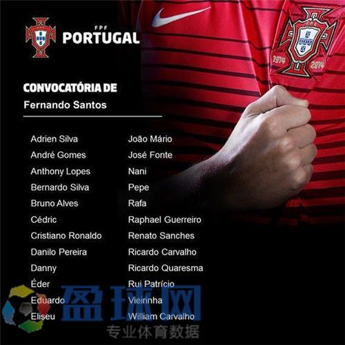 2016欧洲杯葡萄牙队阵容一览 C罗佩佩领衔