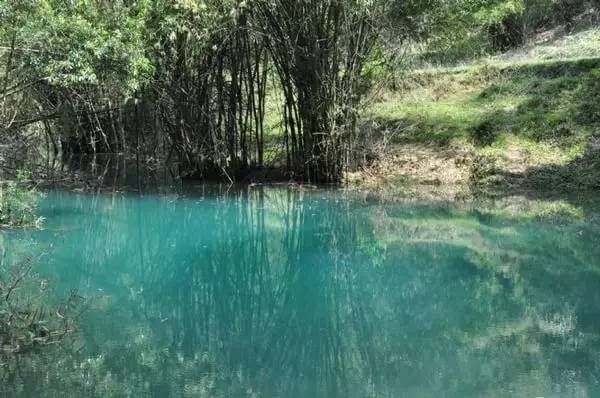 平塘甲茶游玩攻略,平塘甲茶游玩攻略一日游