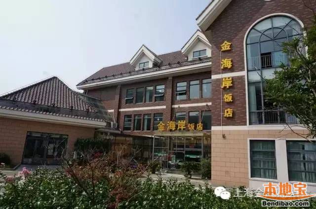 金山农民画_金山棕_金山海鲜城(3)