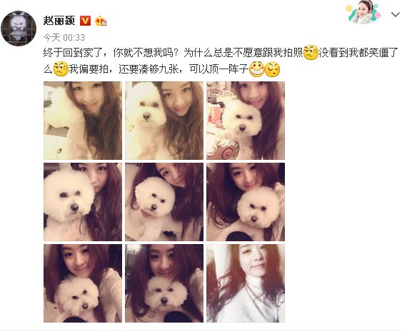 赵丽颖嗮九宫格自拍 搂爱犬出镜遭嫌弃(图)