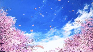 上海清明踏青赏花好去处 一区一景(图)