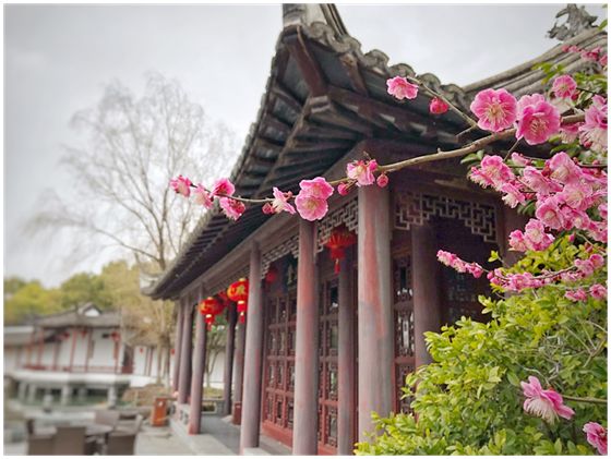 宛园 游玩攻略,宛园游玩攻略