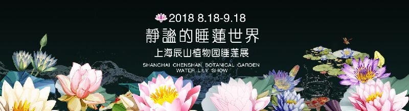 2018上海辰山植物园睡莲展开幕 光影睡莲旖旎入梦