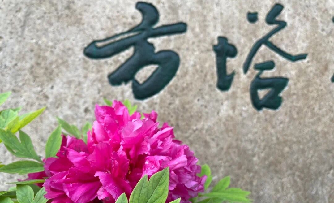 2021上海方塔园三八节优惠活动