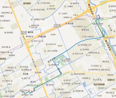 2020上海进博会最全交通攻略(地铁 公交 停车)