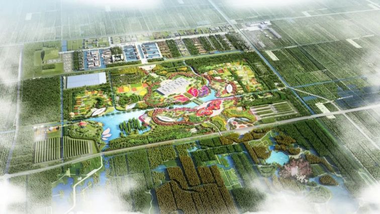 2021上海花博会主题是什么
