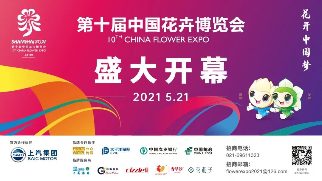 > 2021上海花博会灯光秀时间安排   5月21日,花开中国梦,崇明欢迎您