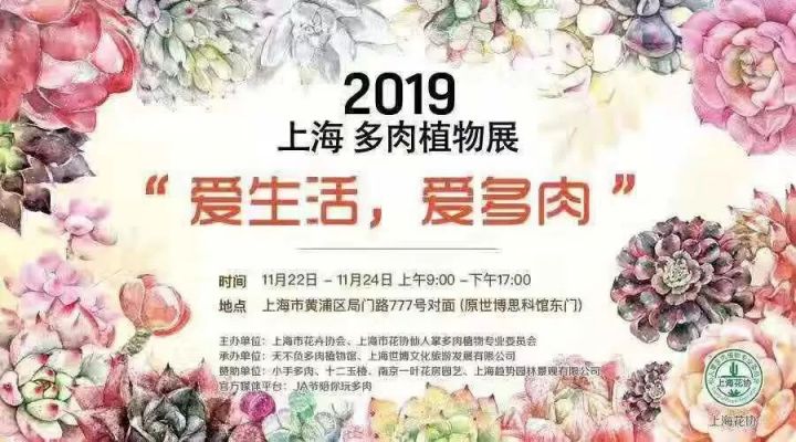 19上海多肉植物展时间 门票 地点 上海本地宝