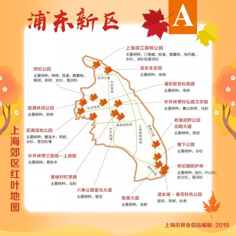 上海旅游 上海游玩 玩乐情报 > 2019上海郊区红叶地图 一起去寻找醉美