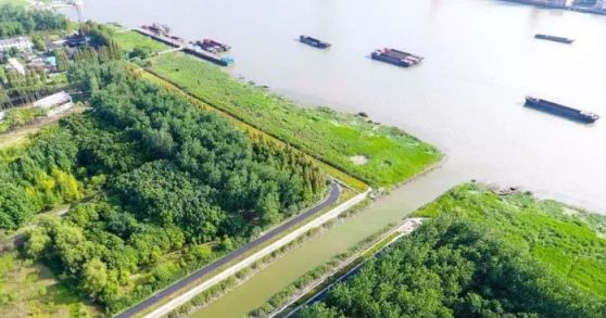 上海英仙座流星雨最佳观测点信息一览