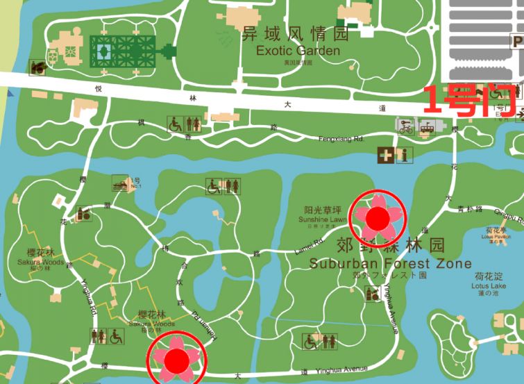 上海顾村公园最佳赏樱区地图 (附游玩须知)