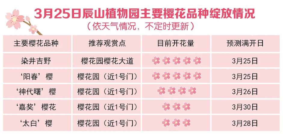 2021上海辰山植物园樱花攻略(赏樱时间 赏樱路线)