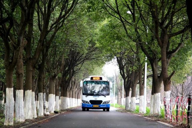 浦东公交1121路、1062路、大团2路线路调整