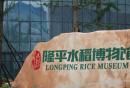 长沙隆平水稻博物馆攻