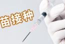 西安九价疫苗预约流程