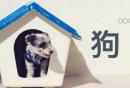 重庆狗证办理地点