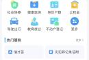 2026重庆两江新区中小学报名系统操作流