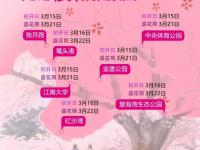 2026无锡鼋头渚樱花开了吗？