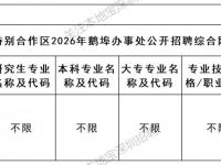 2026深汕合作区鹅埠办事处招聘网格员8人
