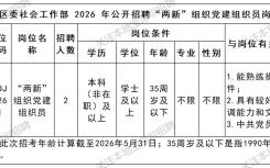 2026龙岗区委社工部招聘党建组织员2人公告(5月)