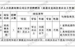 2026龙岗区委社会工作部招聘党政事务辅助1人(5月)